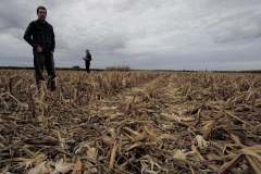 Mike Masters and Ilsa Kantola (UIUC) in a harvested corn field