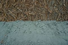the intersection between basalt powder and the miscanthus harvest