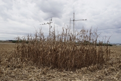 eddy towers, used for measuring CO2 in real time, partially deconstructed at the end of a corn harvest