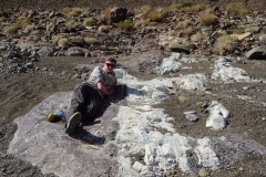 Aled, my field assistant, giving scale to a large magnesite vein